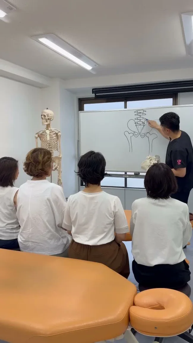 骨格模型で身体の仕組みを説明する授業風景